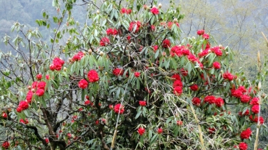 Фото из архива Клуба