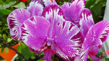 Фото нашего гида Лики Майстровой