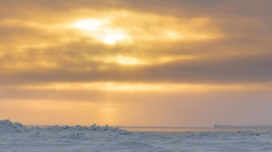 Фото из архивов Клуба