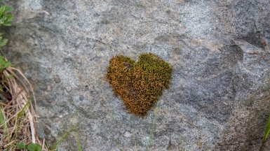 Фото из архива Клуба