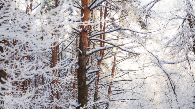 Фото: Alexey Elfimov on Unsplash