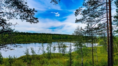 Фото Vyacheslav Makushin для unsplash.com