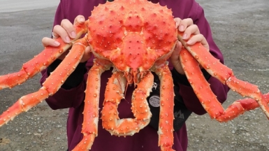 Фото нашей Странницы Марии Карловой