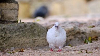 Фото: Andrey Che, unsplash.com