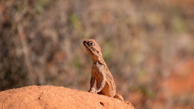 Фото: Vladimir Haltakov, unsplash.com