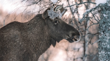 Фото: Federico Di Dio, unsplash.com