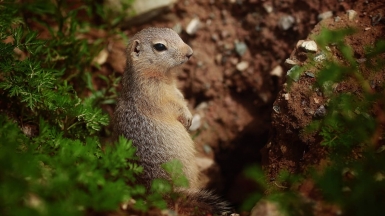 Фото нашей Странницы Светланы Соколовой