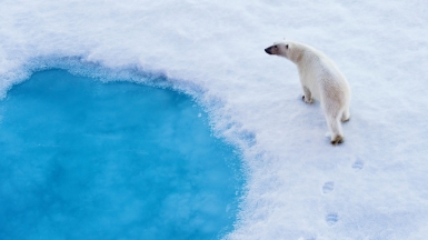 Фото: Christopher.Michel, visualhunt.com