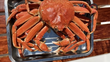 Фото наших Странников