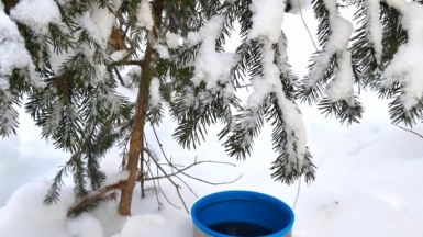 Фото нашего гида Михаила Верёвченко