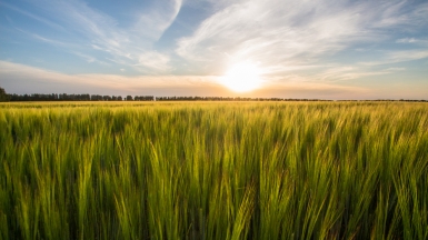 Фото нашего гида Михаила Верёвченко