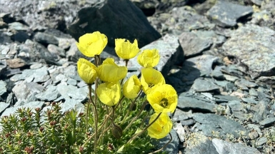 Фото нашей Странницы Марины Полуэктовой