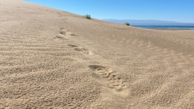 Фото нашего гида Натальи Герасимовой