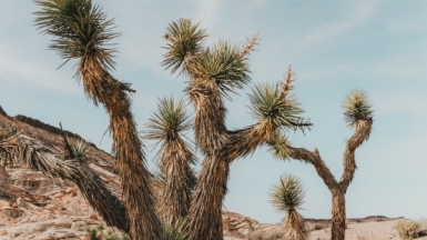 Фото: Madeline Pere, unsplash.com