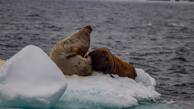 Фото из архива Клуба