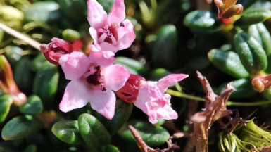 Фото наших Странников