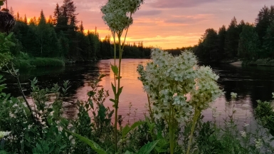 Фото нашей Странницы Маргариты Ефименко