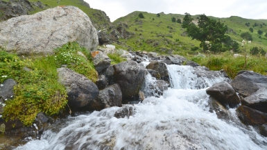 Фото нашего Странника Игоря Васкана