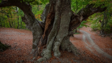 Фото Михаила Верёвченко