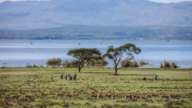 Фото: Ninara, visualhunt.com