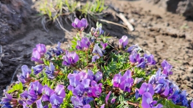 Фото нашей Странницы Марины Качуровой