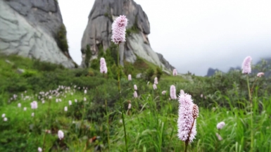 Фото нашей Странницы Веры Елькиной