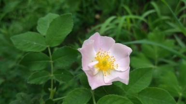 Фото наших Странников