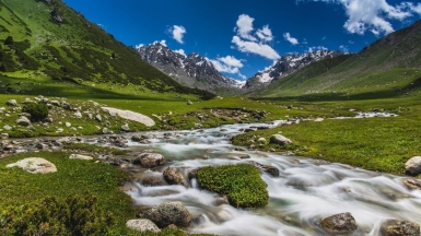 Фото: Самарин Михаил