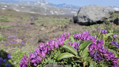 Фото наших Странников