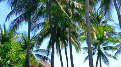 Фото нашей Странницы Светланы Жолобовой