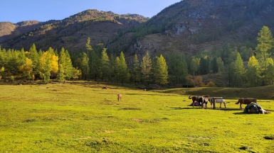 Фото наших Странников