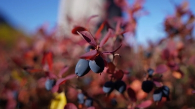 Фото из архива Клуба