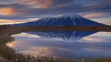 Фото: depositphotos.com