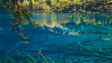 Фото: jmhullot on visualhunt