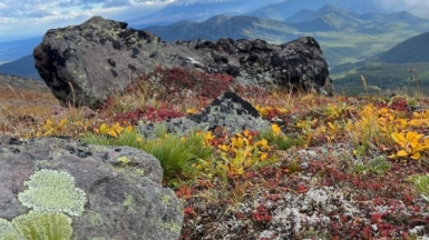 Фото наших Странников