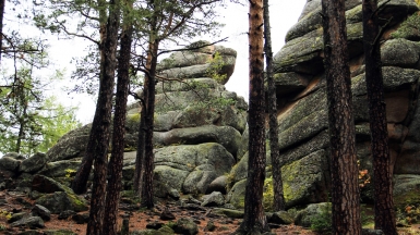 Фото Вероники Кузенковой