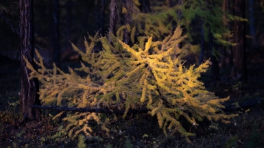 Фото нашего гида Михаила Верёвченко