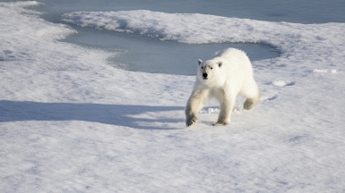 Фото: Christopher.Michel. Источник: visualhunt.com