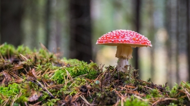 Фото: Егор Камелев, unsplash.com