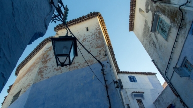 Автор: cat_collector, источник: visualhunt 