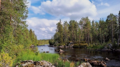 Фото нашего Странника Алексея Ефремова