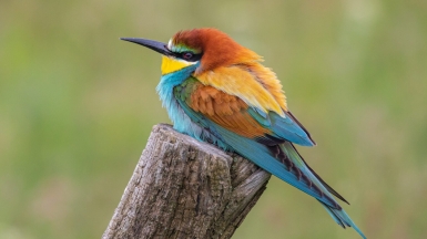 Фото нашего гида Михаила Верёвченко