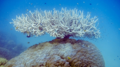 Фото: r.mcminds, visualhunt.com