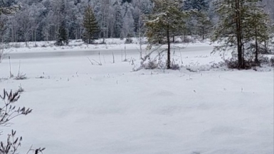 Фото Галины Чудновской