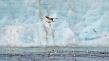 Фото: - Rob Oo. Источник: visualhunt.com