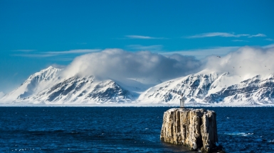 Фото: Сергей Доля