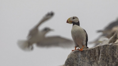 Фото нашего Странника Фёдора Куприянова