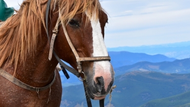 Фото наших Странников