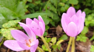 Фото нашего гида Сергея Кузура