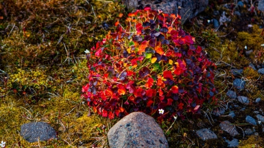 Фото из архива Клуба